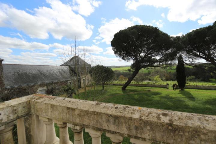 Château Piéguë Rochefort-sur-Loire Exterior foto